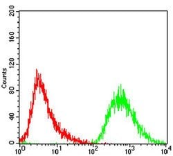 Invitrogen PDK2 Monoclonal Antibody (3F2D7) 100 &mu;L; Unconjugated:Antibodies,