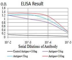 Invitrogen MNAR Monoclonal Antibody (4F1D1) 100 &mu;L; Unconjugated:Antibodies,
