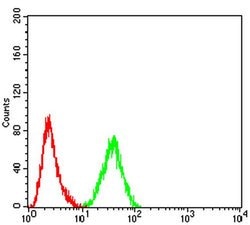 Invitrogen MNAR Monoclonal Antibody (4F1D1) 100 &mu;L; Unconjugated:Antibodies,