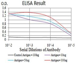 Invitrogen PGRMC1 Monoclonal Antibody (6F9A1) 100 &mu;L; Unconjugated:Antibodies,