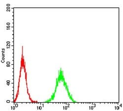 Invitrogen PGRMC1 Monoclonal Antibody (6F9A1) 100 &mu;L; Unconjugated:Antibodies,