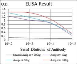 Invitrogen PHC1 Monoclonal Antibody (1F3F3) 100 &mu;L; Unconjugated:Antibodies,