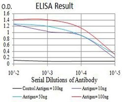 Invitrogen Phospho-4EBP1 (Ser65) Monoclonal Antibody (1E2E7) 100 &mu;L;
