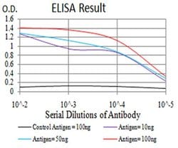 Invitrogen Phospho-Estrogen Receptor alpha (Tyr537) Monoclonal Antibody