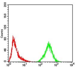 Invitrogen Phospho-Estrogen Receptor alpha (Tyr537) Monoclonal Antibody