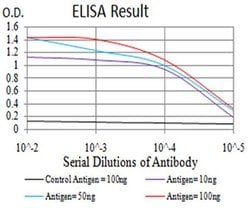 Invitrogen PLD2 Monoclonal Antibody (7E4D9) 100 &mu;L; Unconjugated:Antibodies,