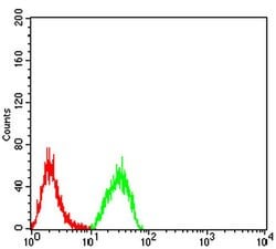 Invitrogen PLD2 Monoclonal Antibody (7E4D9) 100 &mu;L; Unconjugated:Antibodies,