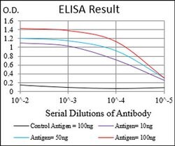 Invitrogen PPARGC1B Monoclonal Antibody (6C3F6) 100 &mu;L; Unconjugated:Antibodies,