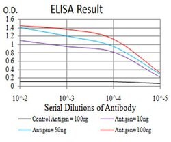 Invitrogen PRDM4 Monoclonal Antibody (4B6E8) 100 &mu;L; Unconjugated:Antibodies,