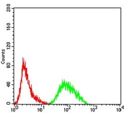 Invitrogen PRDM4 Monoclonal Antibody (4B6E8) 100 &mu;L; Unconjugated:Antibodies,