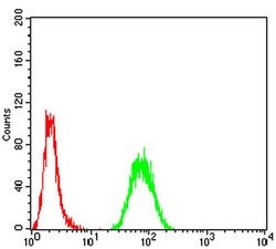 Invitrogen PRDM5 Monoclonal Antibody (7D4E11) 100 &mu;L | Buy Online | Invitrogen&trade; | Fisher Scientific