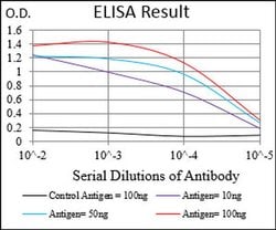 Invitrogen AMPK gamma-1 Monoclonal Antibody (4A1G9) 100 &mu;L; Unconjugated:Antibodies,