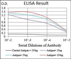 Invitrogen PTP4A2 Monoclonal Antibody (5B6F4) 100 &mu;L; Unconjugated:Antibodies,
