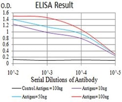 Invitrogen PTPN14 Monoclonal Antibody (2B3H7) 100 &mu;L; Unconjugated:Antibodies,