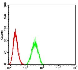 Invitrogen PTPN14 Monoclonal Antibody (2B3H7) 100 &mu;L; Unconjugated:Antibodies,