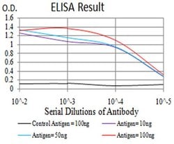 Invitrogen PTPN14 Monoclonal Antibody (2C12E3) 100 &mu;L | Buy Online | Invitrogen&trade; | Fisher Scientific