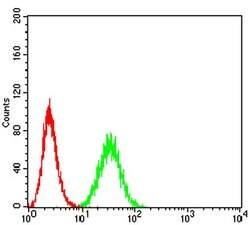Invitrogen PTPN14 Monoclonal Antibody (2C12E3) 100 &mu;L | Buy Online | Invitrogen&trade; | Fisher Scientific