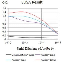 Invitrogen PTPRM Monoclonal Antibody (1H6D10) 100 &mu;L; Unconjugated:Antibodies,