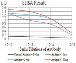 RAB11FIP1 Monoclonal Antibody (1A12B9D8), Invitrogen&trade;