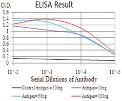 Invitrogen&trade;&nbsp;RAB11FIP1 Monoclonal Antibody (3A12H9D2)