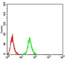 Invitrogen&trade;&nbsp;RAB11FIP1 Monoclonal Antibody (3A12H9D2)