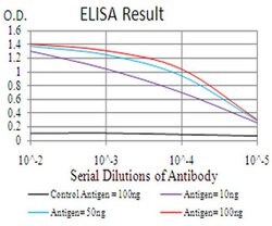 Invitrogen RAB13 Monoclonal Antibody (8E8E2) 100 &mu;L; Unconjugated:Antibodies,