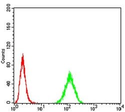 Invitrogen RAB13 Monoclonal Antibody (8E8E2) 100 &mu;L; Unconjugated:Antibodies,