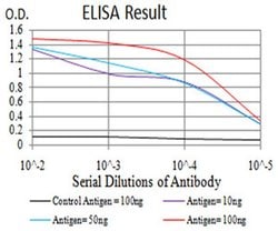 Invitrogen RAB13 Monoclonal Antibody (7G8A4) 100 &mu;L; Unconjugated:Antibodies,