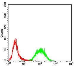 Invitrogen RAB13 Monoclonal Antibody (7G8A4) 100 &mu;L; Unconjugated:Antibodies,