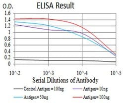 Invitrogen RAB1B Monoclonal Antibody (7A12G2) 100 &mu;L; Unconjugated:Antibodies,
