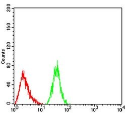 Invitrogen RAB1B Monoclonal Antibody (7A12G2) 100 &mu;L; Unconjugated:Antibodies,