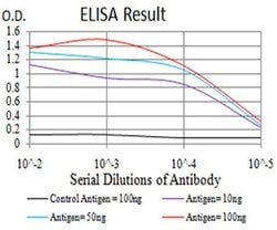Invitrogen RAB6B Monoclonal Antibody (6D12G9) 100 &mu;L; Unconjugated:Antibodies,