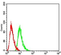 Invitrogen RAB6B Monoclonal Antibody (6D12E4) 100 &mu;L; Unconjugated:Antibodies,