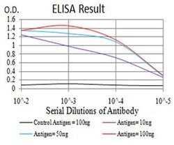 Invitrogen RAD21 Monoclonal Antibody (1B6D1) 100 &mu;L; Unconjugated:Antibodies,