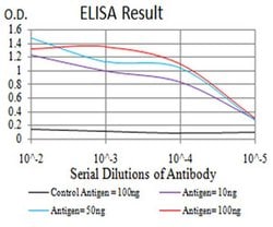 Invitrogen RAD23A Monoclonal Antibody (1E4D6) 100 &mu;L; Unconjugated:Antibodies,