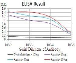 Invitrogen RALA Monoclonal Antibody (4G8C7) 100 &mu;L; Unconjugated:Antibodies,