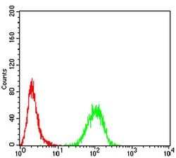 Invitrogen RALA Monoclonal Antibody (4G8C7) 100 &mu;L; Unconjugated:Antibodies,