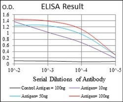 Invitrogen RING1 Monoclonal Antibody (8C12F4) 100 &mu;L; Unconjugated:Antibodies,