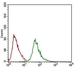 Invitrogen RING1 Monoclonal Antibody (8C12F4) 100 &mu;L; Unconjugated:Antibodies,