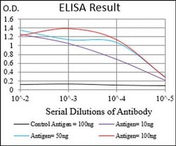 Invitrogen RING1 Monoclonal Antibody (8E8A2) 100 &mu;L; Unconjugated:Antibodies,