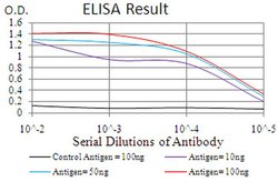 Invitrogen ARHE Monoclonal Antibody (5C7E8) 100 &mu;L; Unconjugated:Antibodies,