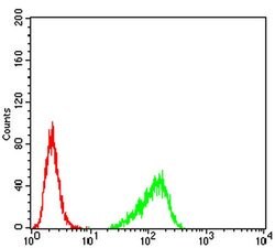 Invitrogen ARHE Monoclonal Antibody (5C7E8) 100 &mu;L; Unconjugated:Antibodies,