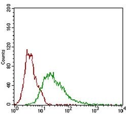 Invitrogen ROR2 Monoclonal Antibody (6F2D10) 100 μL; Unconjugated:Antibodies,