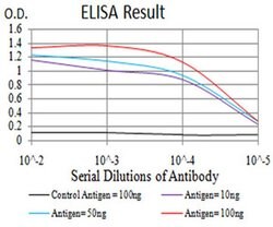 Invitrogen SEC31A Monoclonal Antibody (5D12C6) 100 &mu;L; Unconjugated:Antibodies,