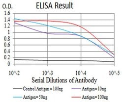 Invitrogen SIRT4 Monoclonal Antibody (6G6D2) 100 &mu;L; Unconjugated:Antibodies,