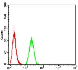 Invitrogen SIRT4 Monoclonal Antibody (6G6D2) 100 &mu;L; Unconjugated:Antibodies,
