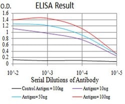Invitrogen SIRT7 Monoclonal Antibody (1E2B2) 100 &mu;L; Unconjugated:Antibodies,
