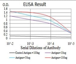 Invitrogen SPHK2 Monoclonal Antibody (3C8D3) 100 μL; Unconjugated:Antibodies,