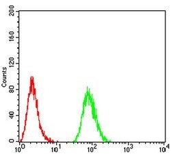 Invitrogen SPHK2 Monoclonal Antibody (3C8D3) 100 μL; Unconjugated:Antibodies,