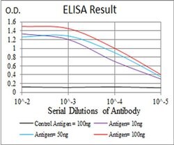 Invitrogen SSH1 Monoclonal Antibody (6C11G9) 100 &mu;L; Unconjugated:Antibodies,
